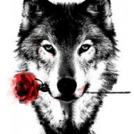 Wulfy
