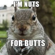 Squirrel4play