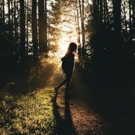 Lone_Forest_Walker