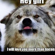 urBadWolf4awhile