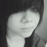 ShyLittleKitten