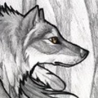 JoWolfe