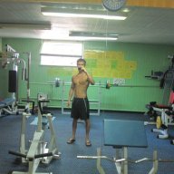 gastro