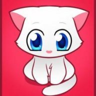 Little-Kitten-