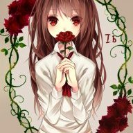 IbRedrose