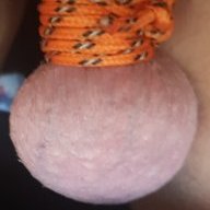willy1ball