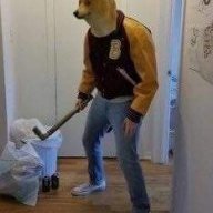 OmenNight