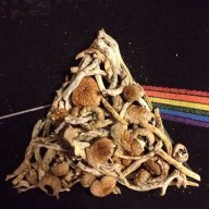 FiveDriedGrams