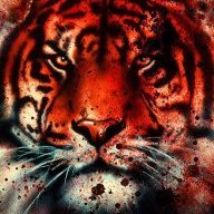 Tiger3519