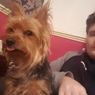 DannyWillzUK