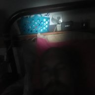 Raylicks