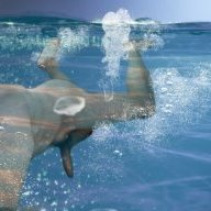 UnderwaterGuy
