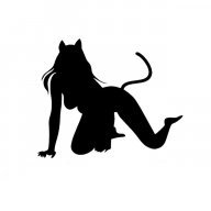 KittykatNY