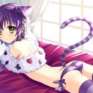 CollaredNeko
