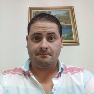 Rodd81