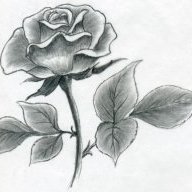 ASHELLOFAMAN