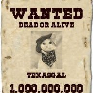TexasGal