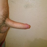 StarvedYoungStallion
