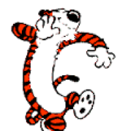 meTiger