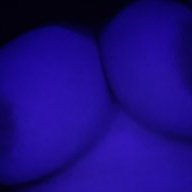 shighcurves