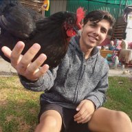 AussieJerry20