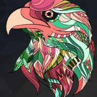 Bald_Eagle