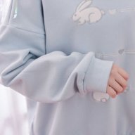 SoftBoi