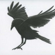 Jack_raven
