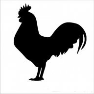 DomBiBBC