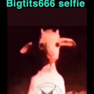 bigtits666