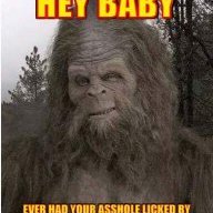 Bigbear31