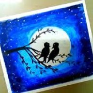 nightbird