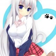Yourlittlekitty