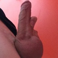 Germanbull00
