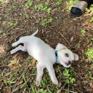 Ella_082700