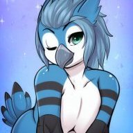 AJtheBlueJay