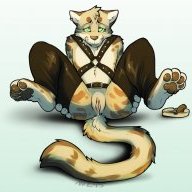 Ftm_transboy