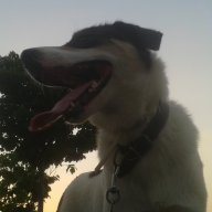 Peter_the_first