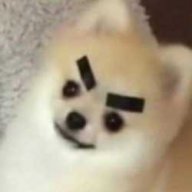 LasagaTheSauce