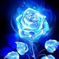 BlueRoseSoldier29