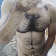 Bull1