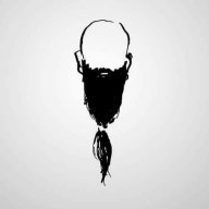 A_gifted_wolf