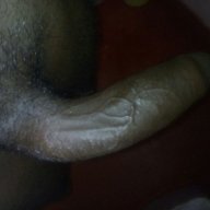 bbc11inch