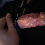 BigCumCock