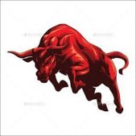 Hungbull99