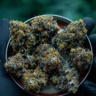 HrnyBlk420