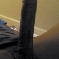 BBC4Tight