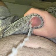 SpermFactory