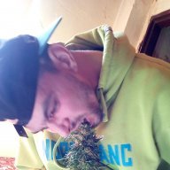 DaliborDoksy