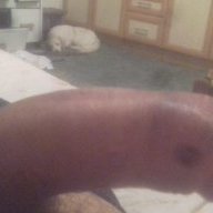 Lanec79
